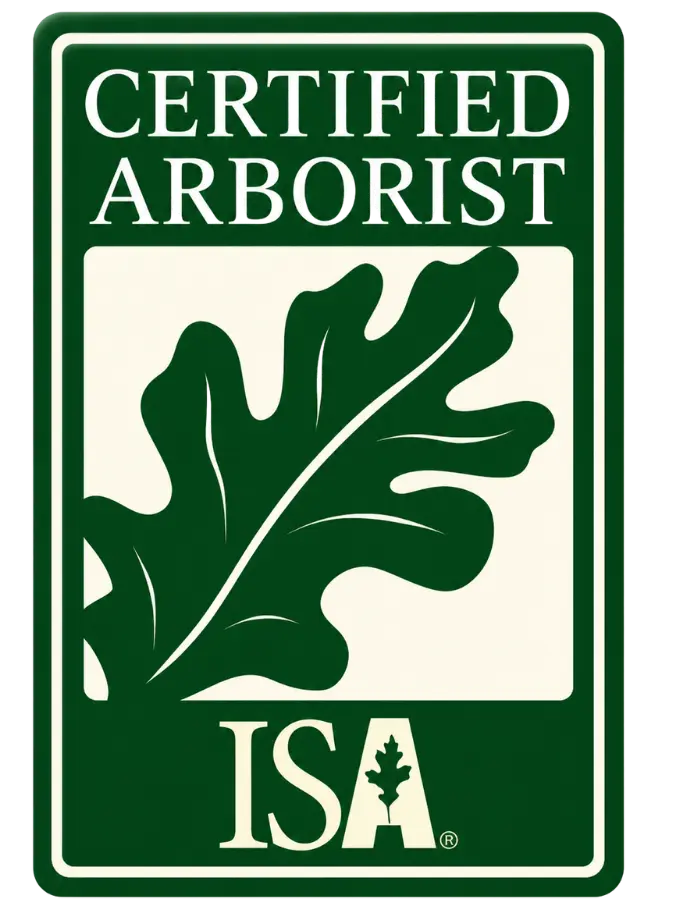Honolulu Tree Company ISA Certified Arborists